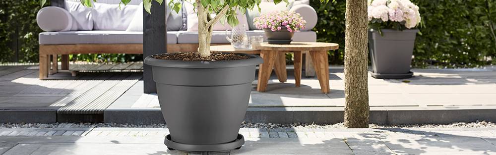 universal planttaxi 40cm anthrazit